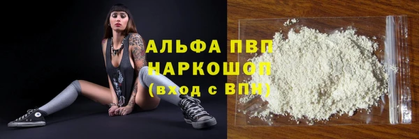 гашик Михайловск