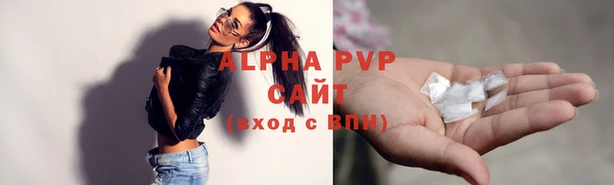 индика Аша