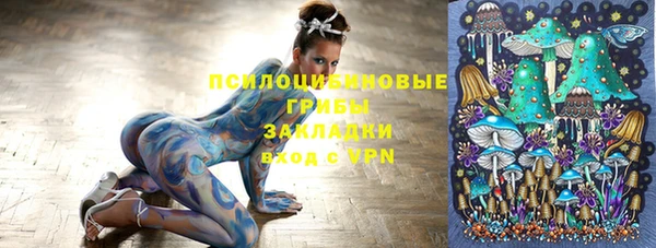 гашик Михайловск