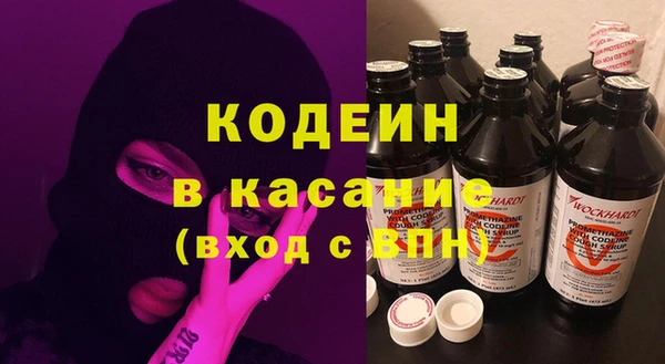 шишки Бабаево