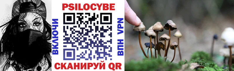 Псилоцибиновые грибы MAGIC MUSHROOMS Козельск